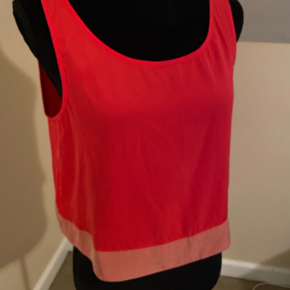 NWT Fun Crop Top